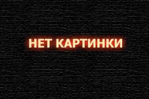 Приобретение запчастей Рено Кенго: 3 аргумента в пользу использования возможностей популярного интернет-магазина «Bus-Shop»